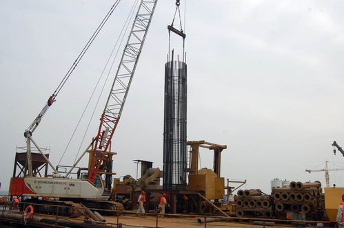 一建市政 橋梁工程 樁基圖解