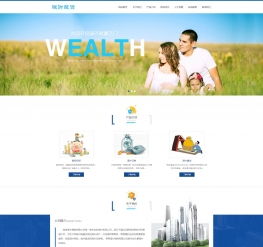 股權(quán)投資財富管理網(wǎng)站模板 移動端與咨詢功能