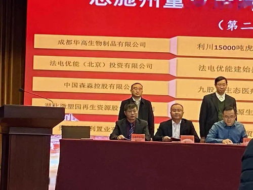 利川再迎新投資高峰 52.3億元重大項目成功簽約